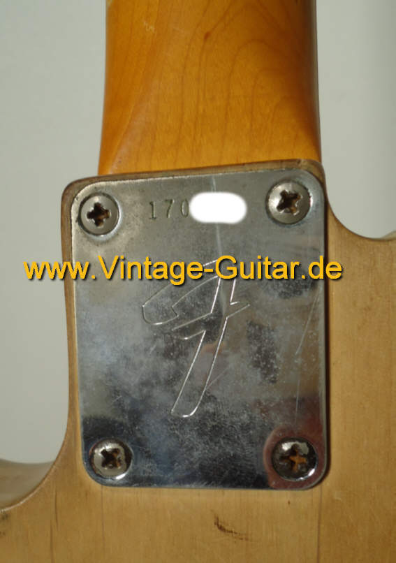 Fender Telecaster 1966 stripped neckplate.jpg